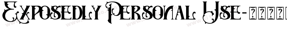 Exposedly Personal Use字体转换